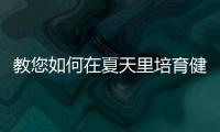 教您如何在夏天里培育健康的寶寶