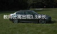 教師公寓出現1.3米長大蛇