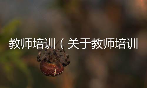 教師培訓（關于教師培訓的基本情況說明介紹）