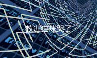 教訓貓咪哭了