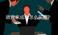 故宮未成年怎么買票?
