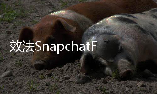 效法SnapchatFacebook將新增「Stories」功能