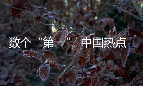 數(shù)個“第一” 中國熱點論文影響力與日俱增