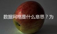 數(shù)據(jù)網(wǎng)格是什么意思？為什么要考慮實現(xiàn)數(shù)據(jù)網(wǎng)格？