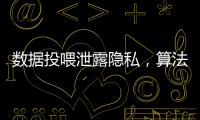 數據投喂泄露隱私，算法生成虛假信息，大模型時代怎么防范安全風險？