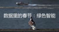 數(shù)據(jù)里的春節(jié)：綠色智能家電勢頭好 四六級市場消費需求猛增
