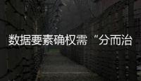 數據要素確權需“分而治之”