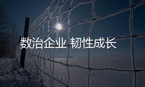 數(shù)治企業(yè) 韌性成長(zhǎng)