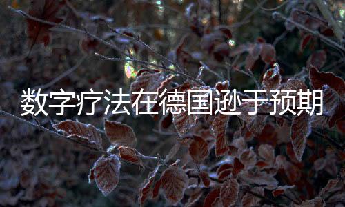 數字療法在德國遜于預期 規模化仍是最大挑戰