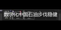 數字化中國石油步伐穩健