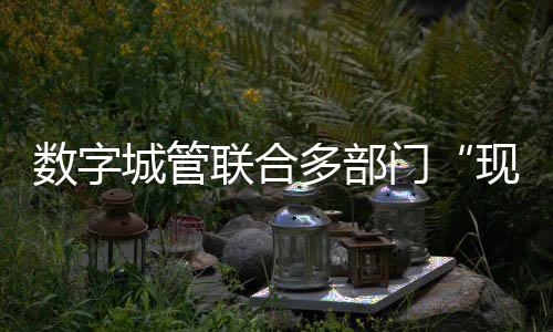 數字城管聯合多部門“現場辦公”