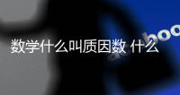 數學什么叫質因數 什么叫質因數