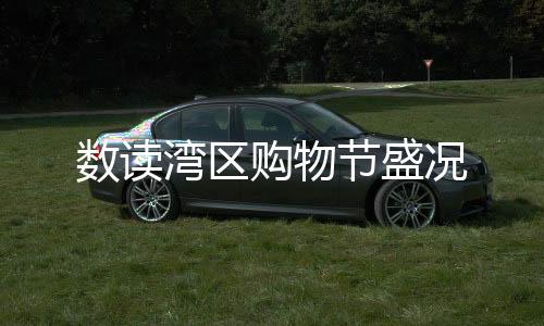 數讀灣區購物節盛況