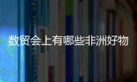 數貿會上有哪些非洲好物