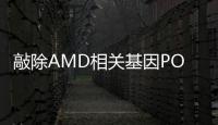 敲除AMD相關(guān)基因POLDIP2可減少視網(wǎng)膜細胞中的線粒體超氧化物