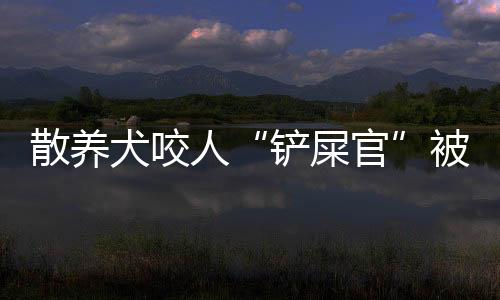 散養(yǎng)犬咬人“鏟屎官”被判賠16000余元！流浪犬傷人誰擔(dān)責(zé)？