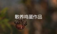 散養雞蛋作品