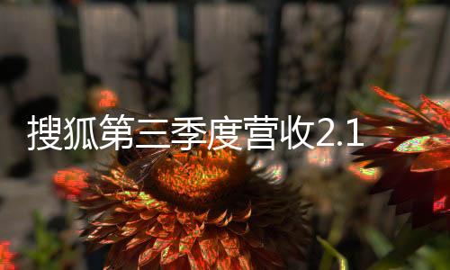 搜狐第三季度營收2.16億美元 手握100億現(xiàn)金