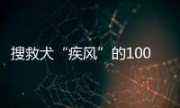 搜救犬“疾風(fēng)”的100公里