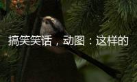 搞笑笑話，動圖：這樣的小姐姐有誰能駕馭？