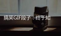 搞笑GIF段子：終于知道紂王的快樂(lè)了