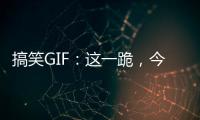 搞笑GIF：這一跪，今生我們互不相欠，哈哈哈哈