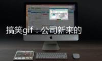 搞笑gif：公司新來的女同事，好多人都去要聯系方式