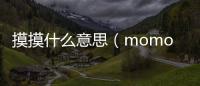 摸摸什么意思（momo什么意思）