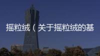 搖粒絨（關于搖粒絨的基本情況說明介紹）