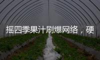 搖四季果汁刷爆網絡，硬核新飲料是它沒錯！