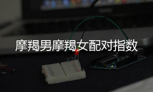 摩羯男摩羯女配對指數(shù)