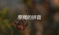 摩羯的拼音