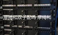 摩羯和雙子配嗎 摩羯和雙子配不配