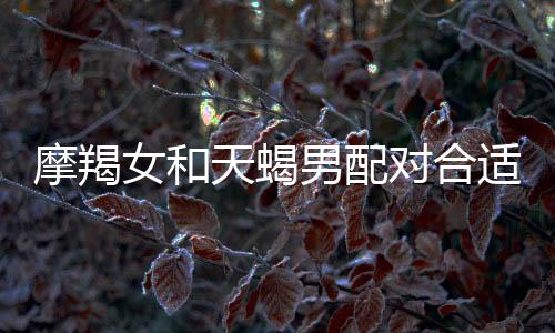 摩羯女和天蝎男配對合適嗎 摩羯女和天蝎男配對指數高嗎