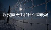 摩羯座男生和什么座最配