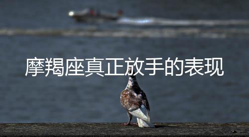 摩羯座真正放手的表現