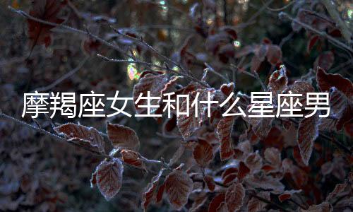 摩羯座女生和什么星座男生最配