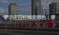 摩爾莊園拉姆變顏色（摩爾莊園拉姆變色）