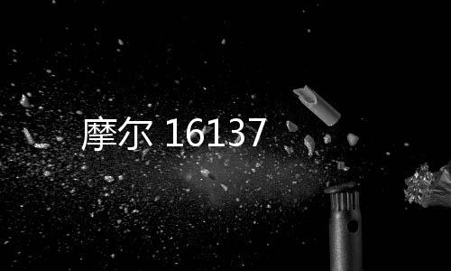 摩爾 16137