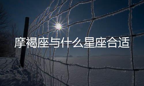 摩褐座與什么星座合適