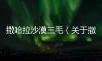撒哈拉沙漠三毛（關于撒哈拉沙漠三毛的基本情況說明介紹）