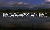 撇點(diǎn)寫筆畫怎么寫（撇點(diǎn)怎么寫筆畫）