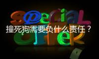 撞死狗需要負什么責任？撞死狗有責任嗎