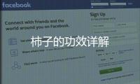 柿子的功效詳解