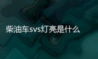 柴油車svs燈亮是什么故障（svs燈亮是什么故障）