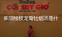 柴胡桂枝龍骨牡蠣湯是什么