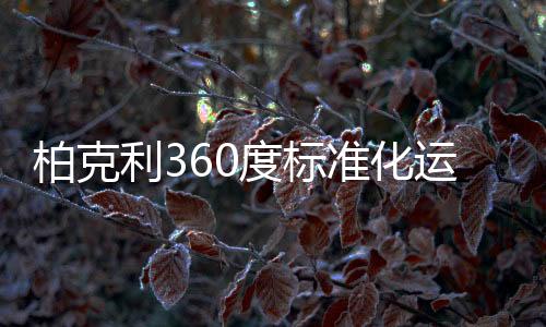 柏克利360度標(biāo)準(zhǔn)化運(yùn)營(yíng)幫扶體系，助力終端成就“大商”