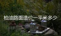 柏油路面造價一平米多少錢（柏油路面造價）