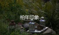 柏年印象