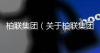 柏聯(lián)集團(tuán)（關(guān)于柏聯(lián)集團(tuán)的基本情況說(shuō)明介紹）